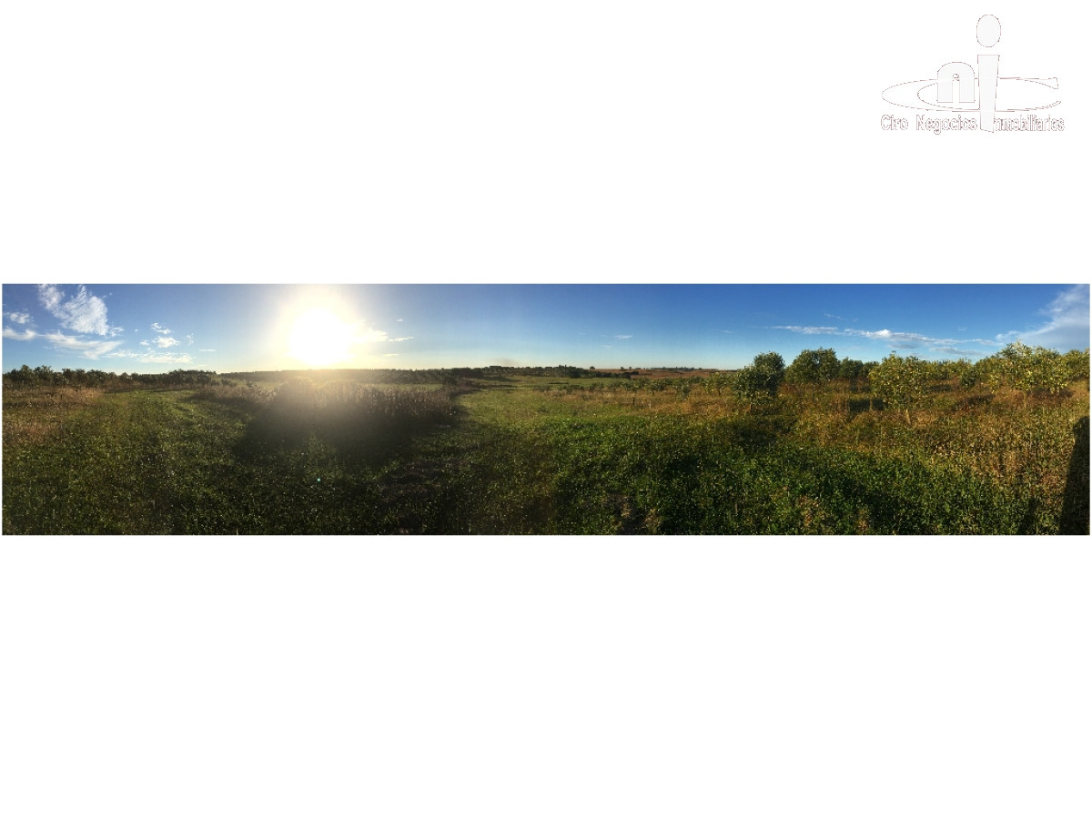 Campo