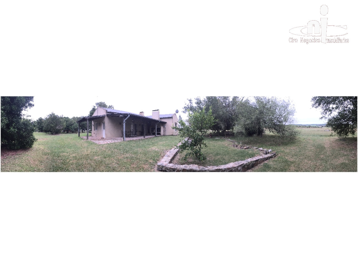 Campo