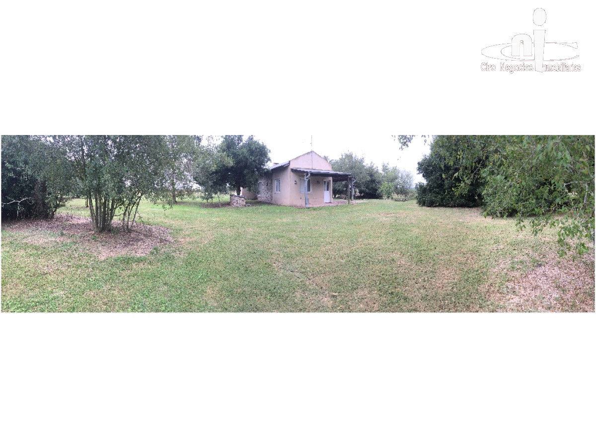 Campo