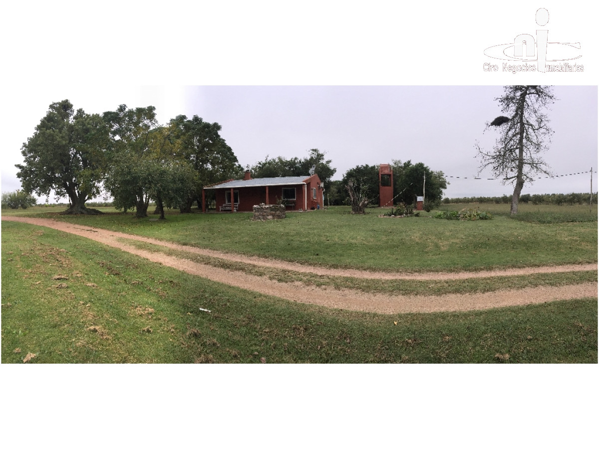 Campo