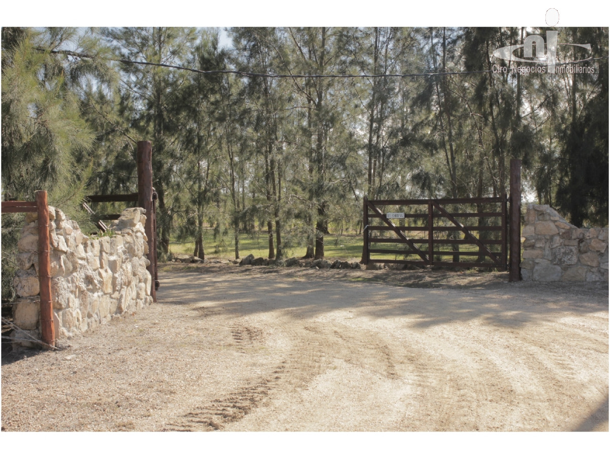 Campo