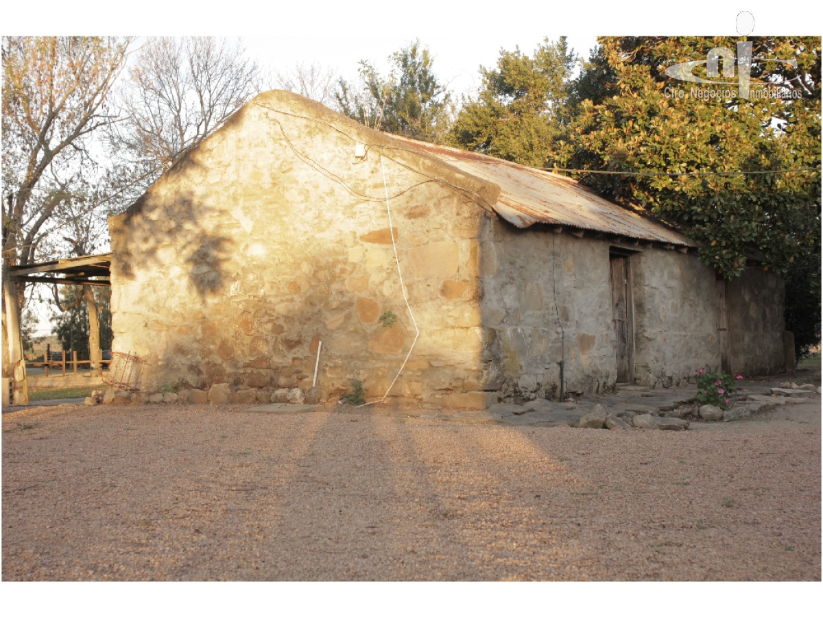 Campo