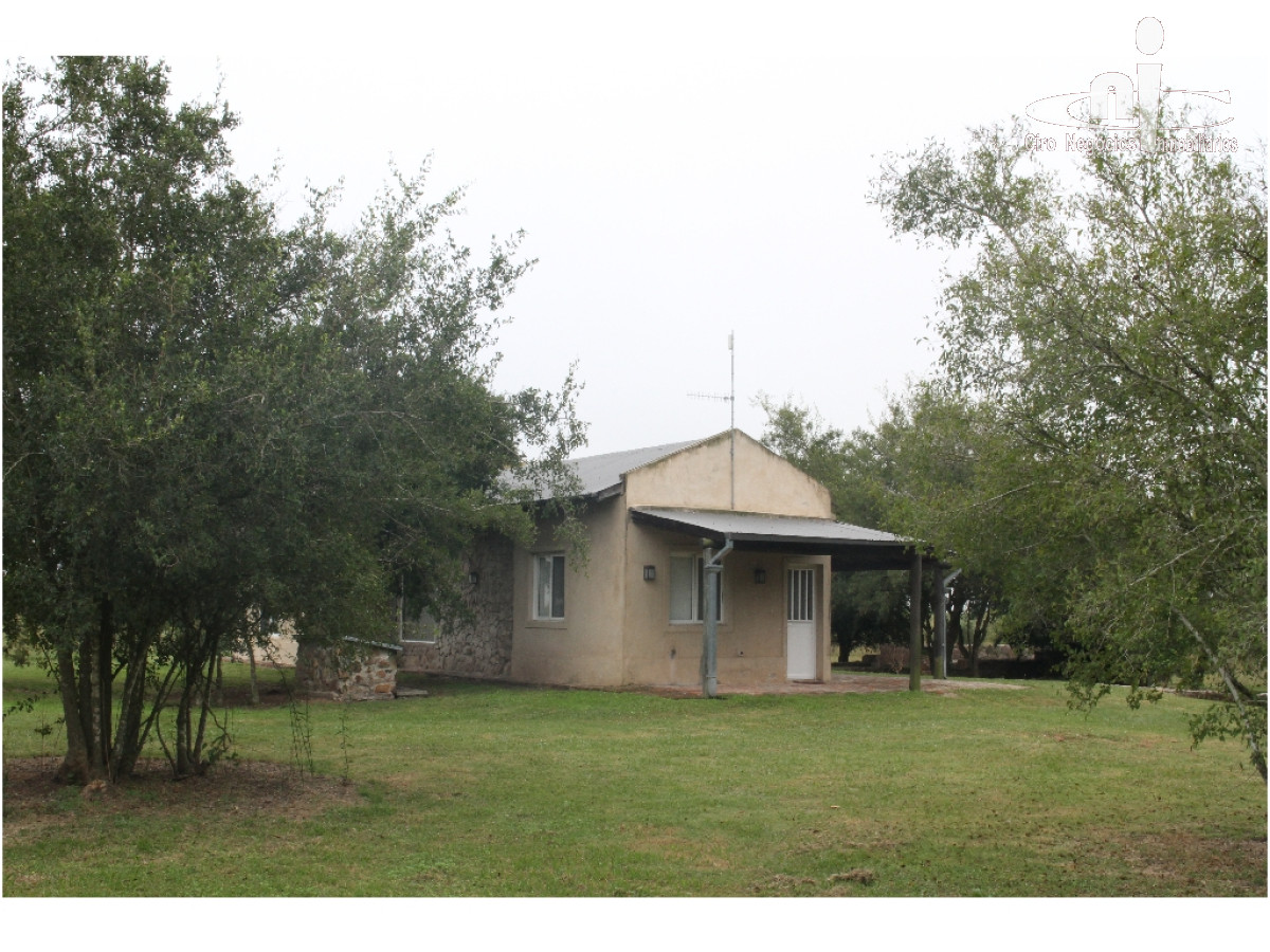 Campo