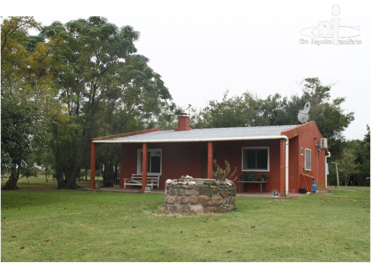 Campo
