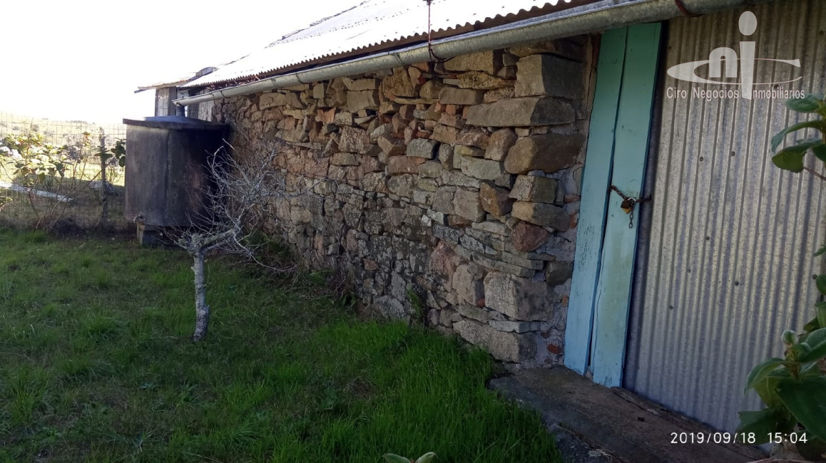 Campo