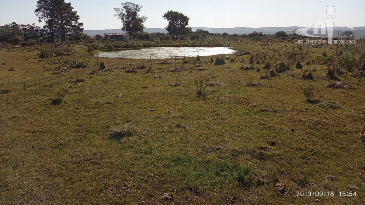 Campo