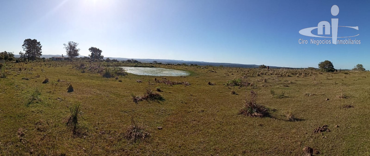 Campo