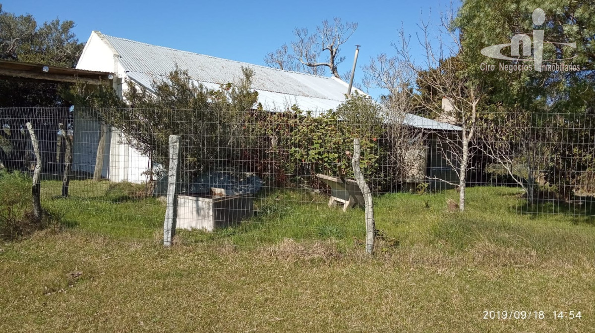 Campo