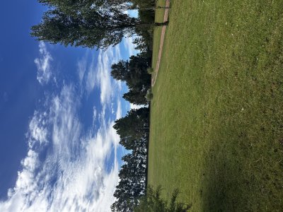 Chacra ID.3254 - Venta chacra manantiales 