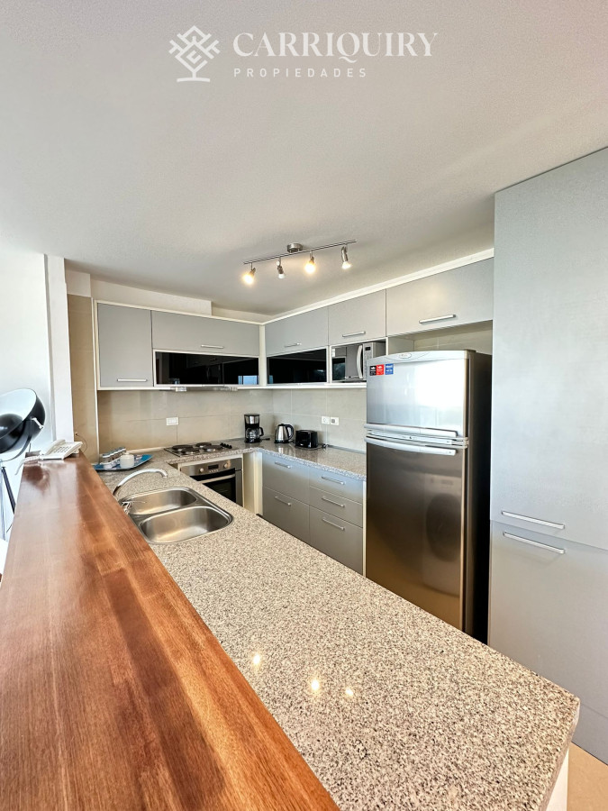 Apartamento ID.9960 - Venta departamento punta del este primera linea playa brava frente al mar