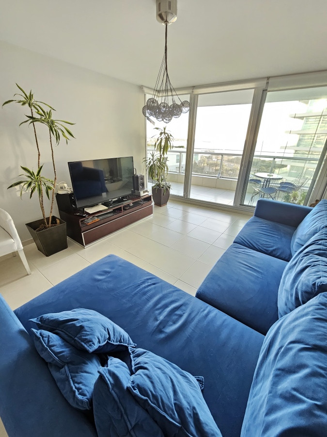 Alquiler departamento punta del este 