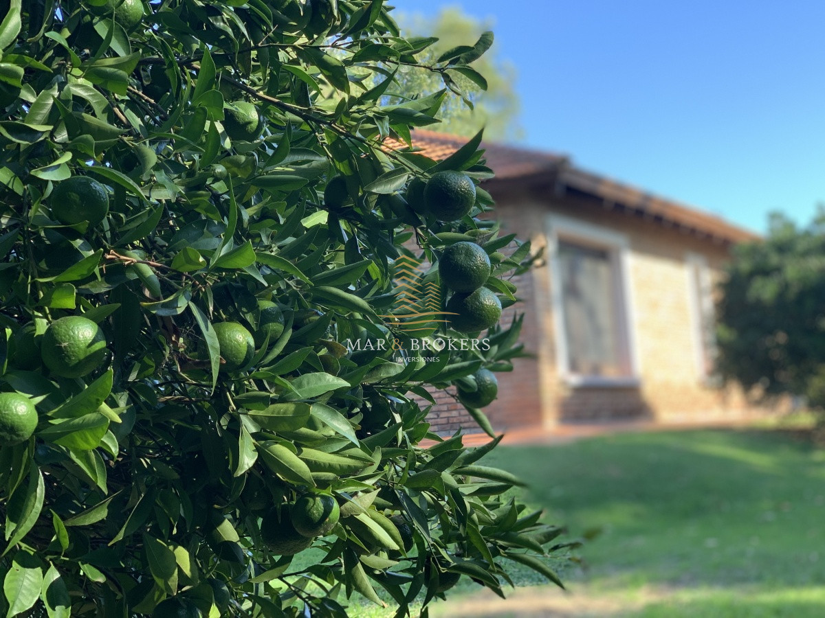 Casa ID.270 - Casa en venta punta del este 