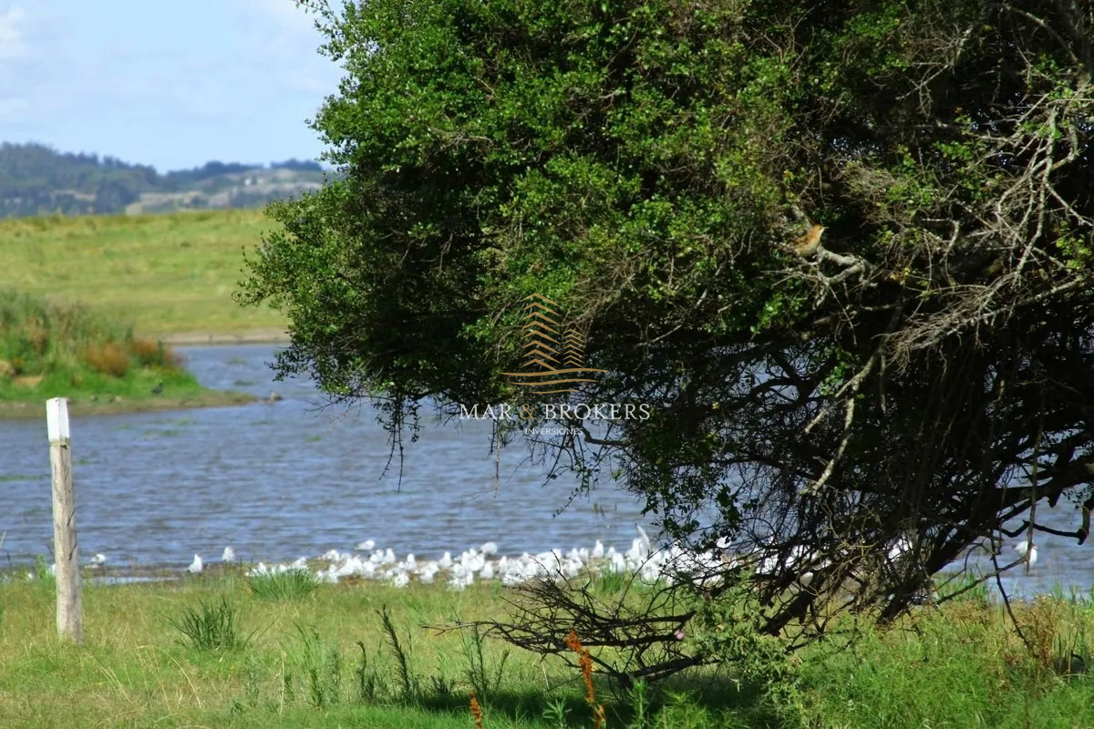 Chacra ID.13 - Chacra en Laguna del Sauce - Punta Ballena