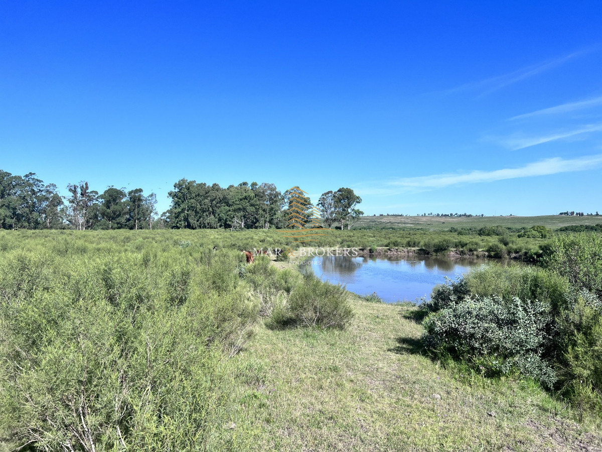 Chacra ID.959 - 