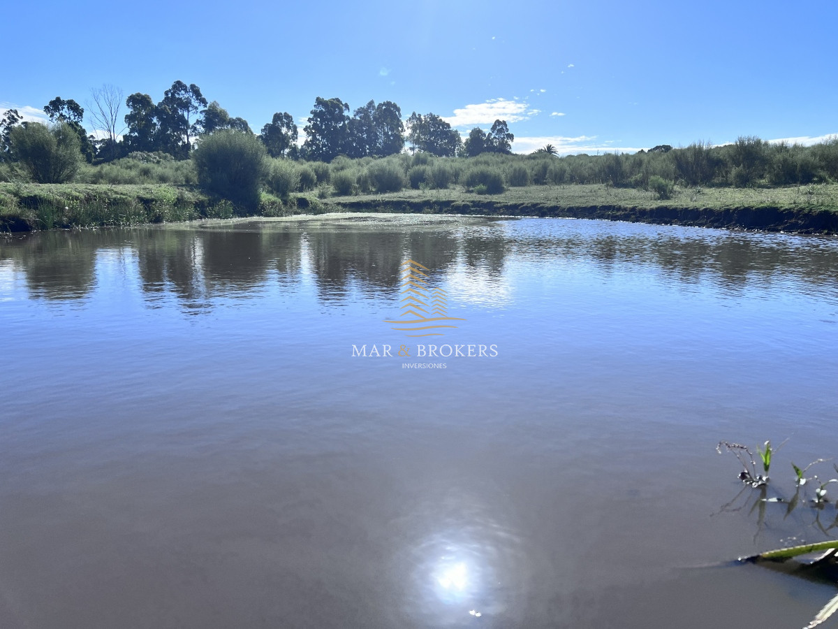 Chacra ID.959 - 