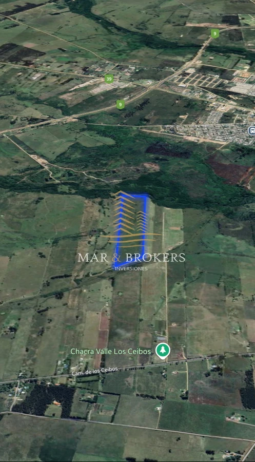 Chacra ID.1210 - 