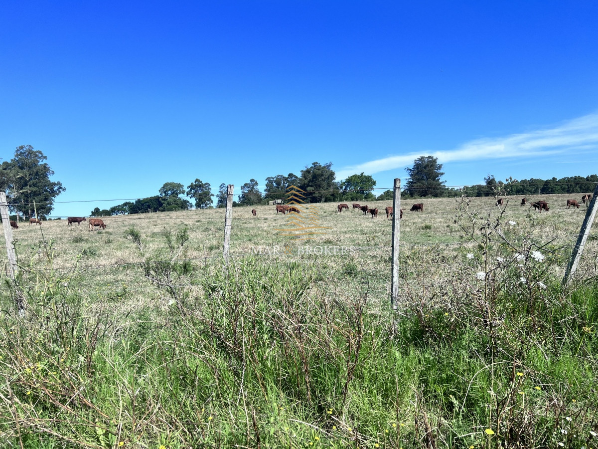 Chacra ID.959 - 