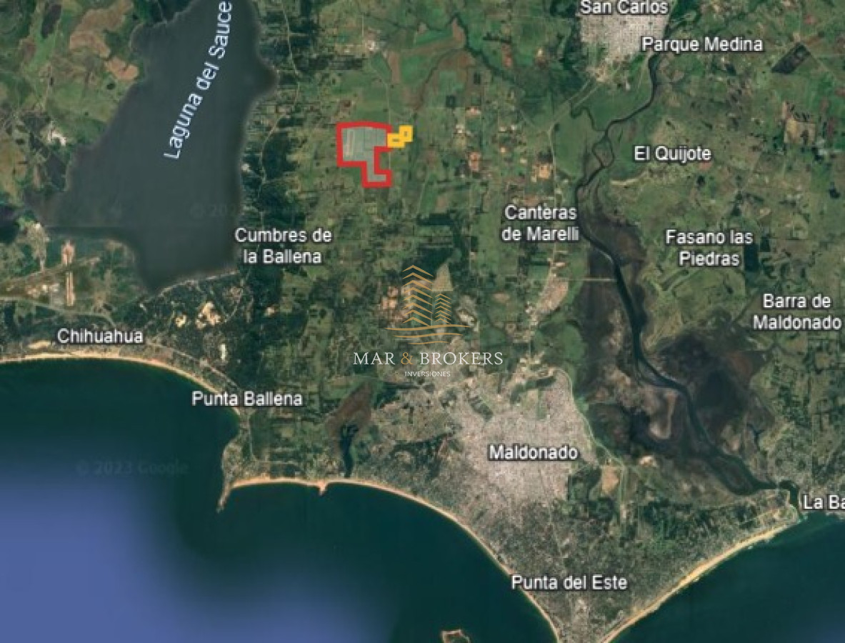 Campo Ref.965 - OPORTUNIDAD UNICA EN URUGUAY.