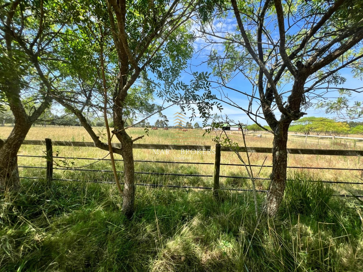 Campo Ref.965 - OPORTUNIDAD UNICA EN URUGUAY.