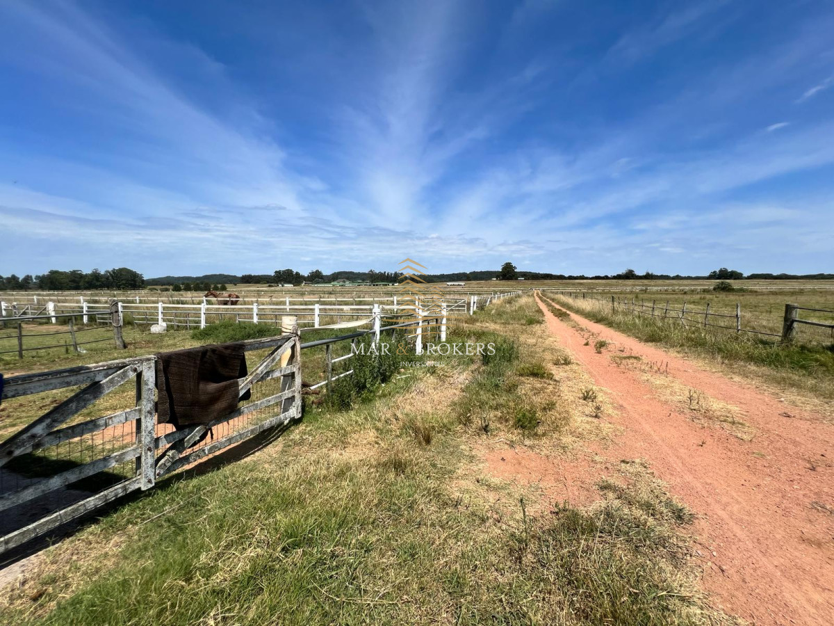 Campo Ref.965 - OPORTUNIDAD UNICA EN URUGUAY.