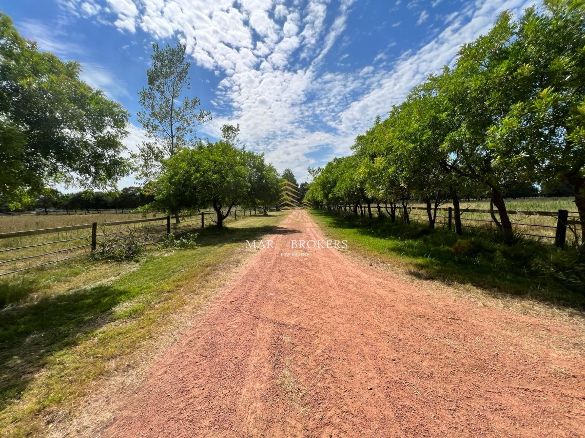 Campo Ref.965 - OPORTUNIDAD UNICA EN URUGUAY.