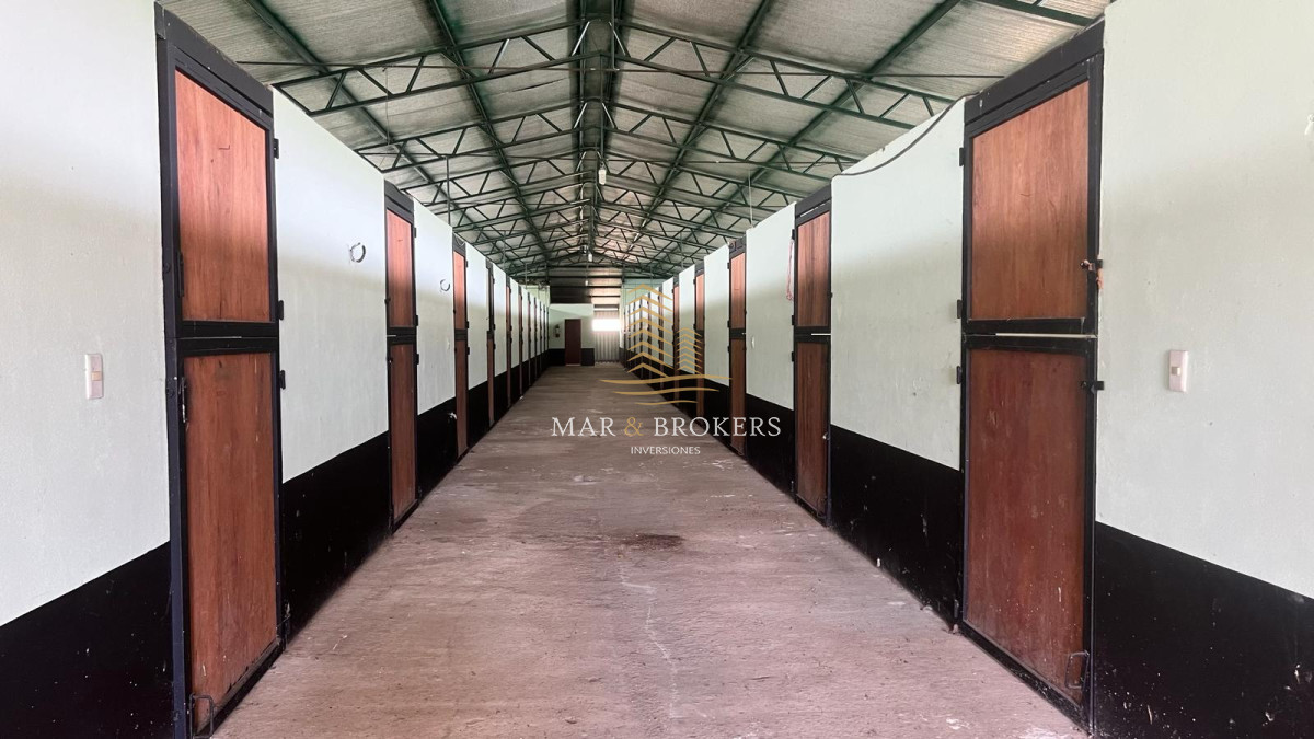 Campo Ref.965 - OPORTUNIDAD UNICA EN URUGUAY.