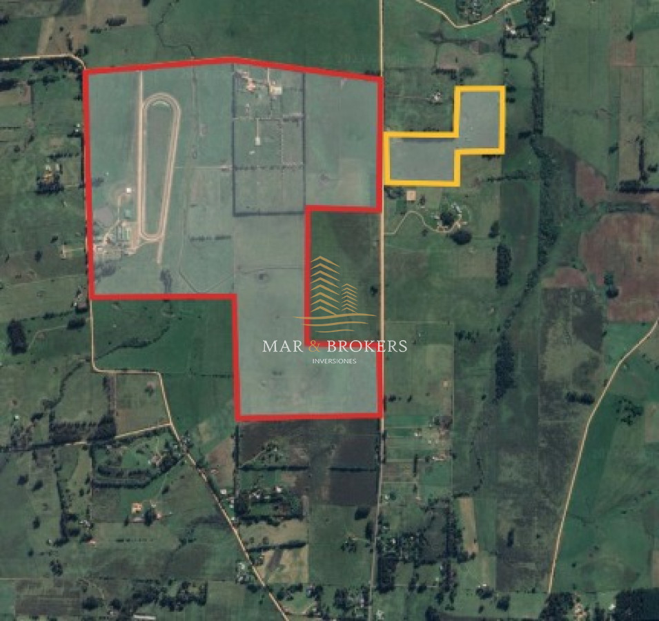 Campo Ref.965 - OPORTUNIDAD UNICA EN URUGUAY.