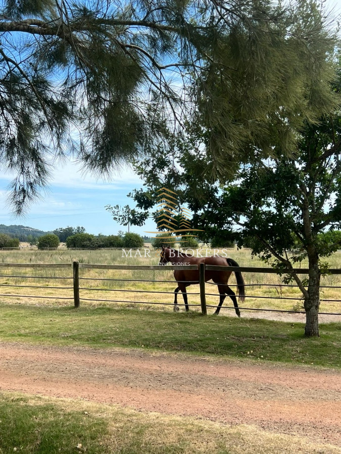 Campo Ref.965 - OPORTUNIDAD UNICA EN URUGUAY.