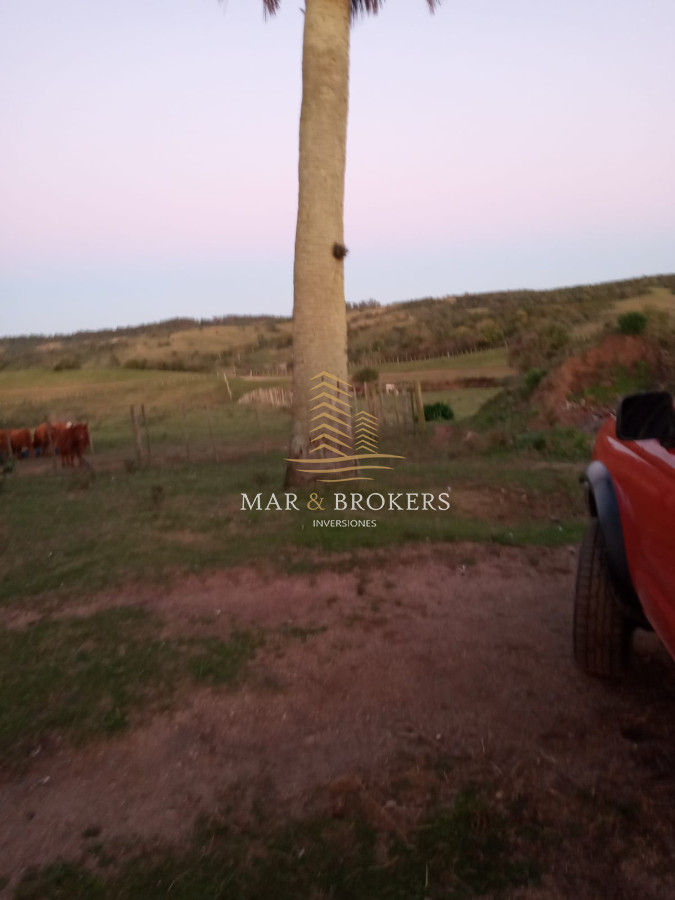Campo Ref.107 - Campo Rincón de José Ignacio