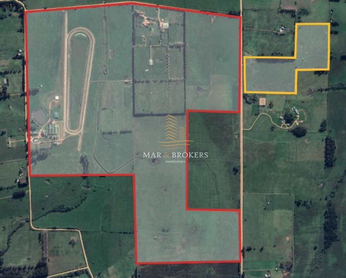 Campo Ref.965 - OPORTUNIDAD UNICA EN URUGUAY.