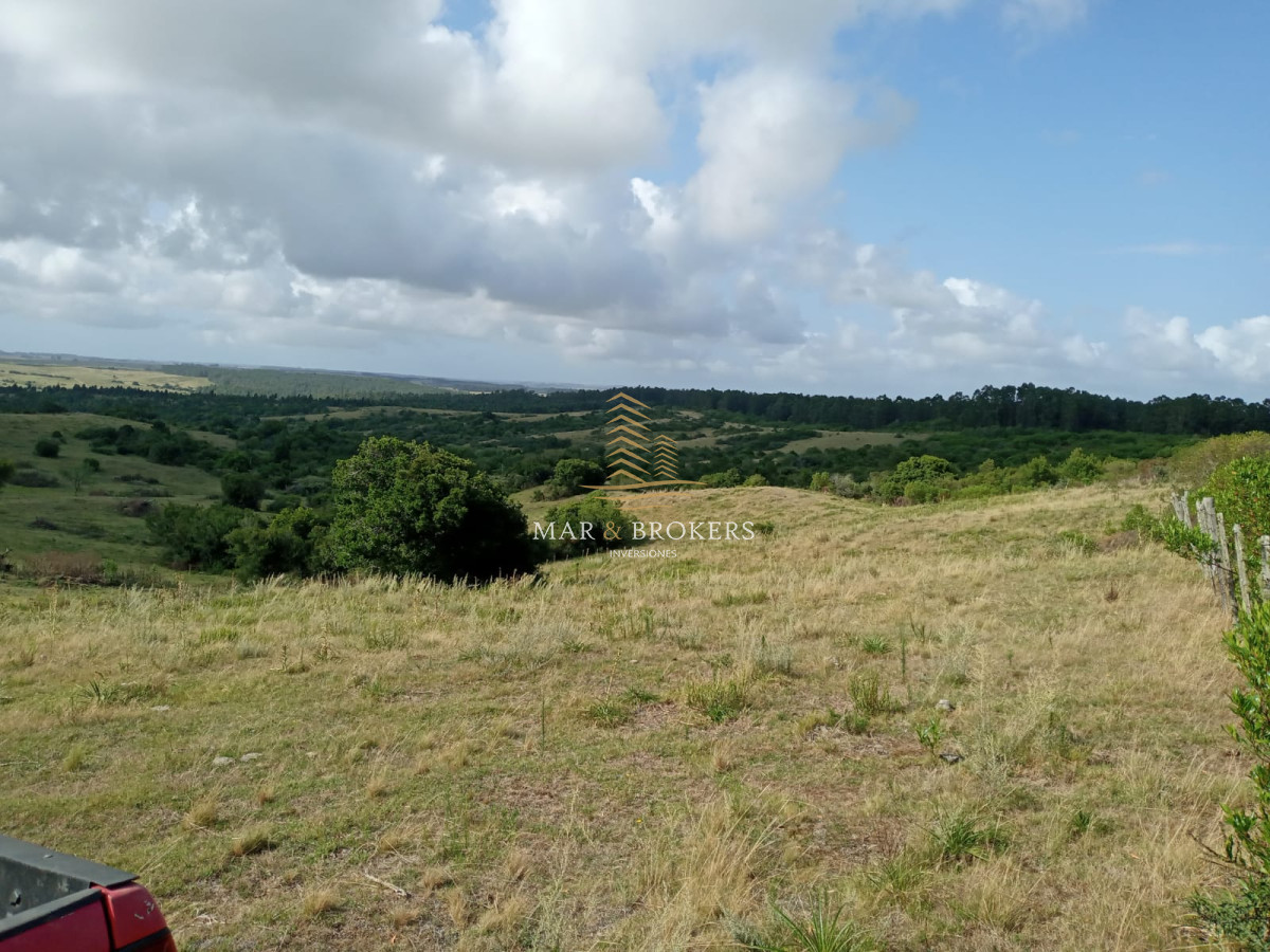Campo Ref.107 - Campo Rincón de José Ignacio