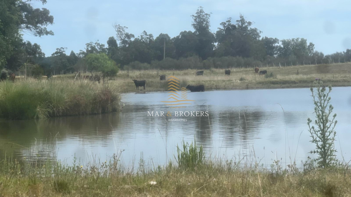 Campo Ref.965 - OPORTUNIDAD UNICA EN URUGUAY.
