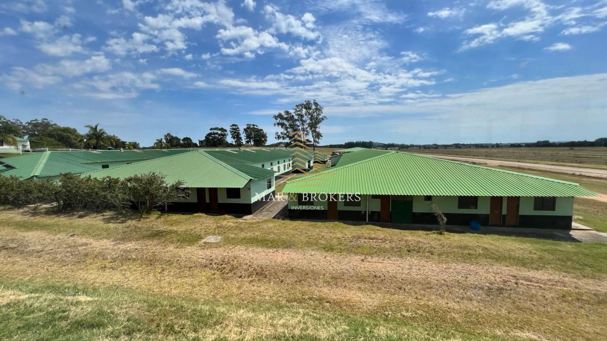 Campo Ref.965 - OPORTUNIDAD UNICA EN URUGUAY.