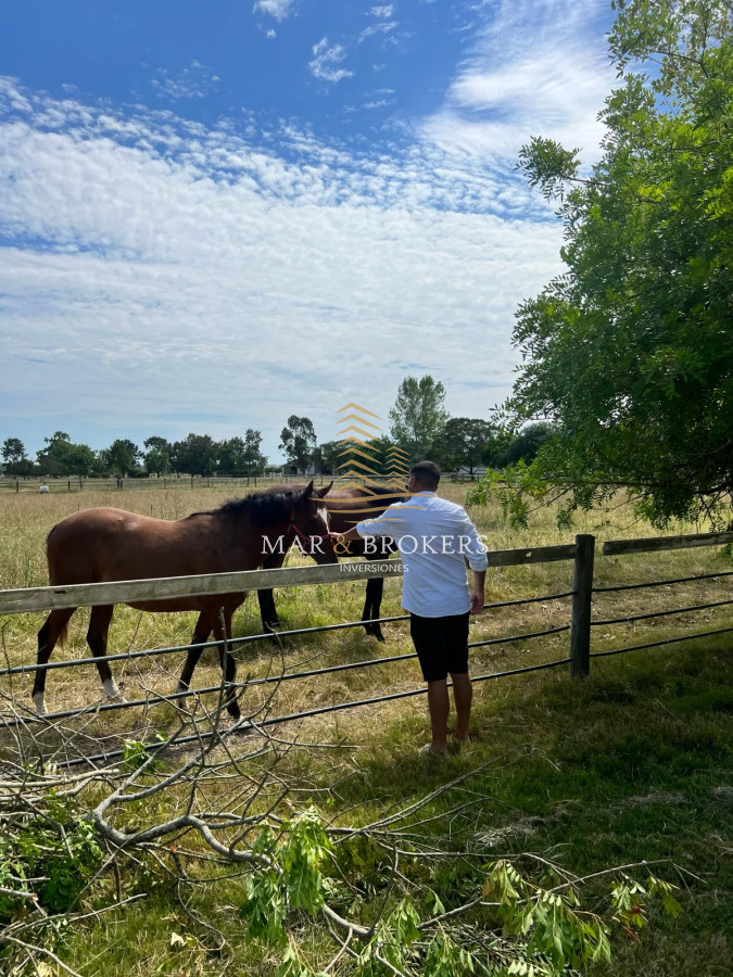 Campo Ref.965 - OPORTUNIDAD UNICA EN URUGUAY.