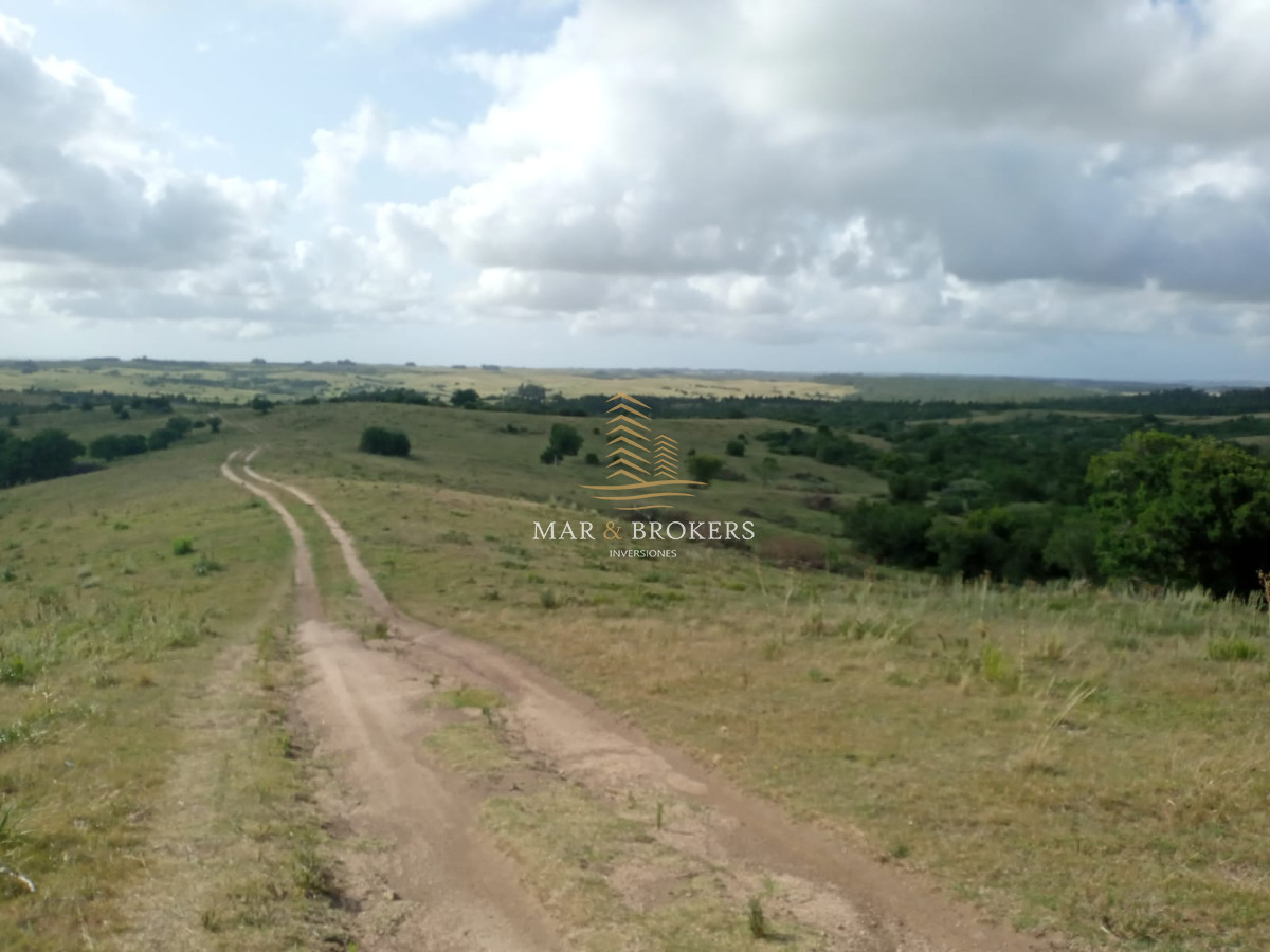 Campo Ref.107 - Campo Rincón de José Ignacio