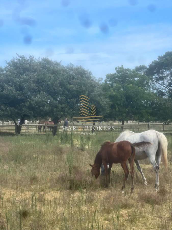 Campo Ref.965 - OPORTUNIDAD UNICA EN URUGUAY.