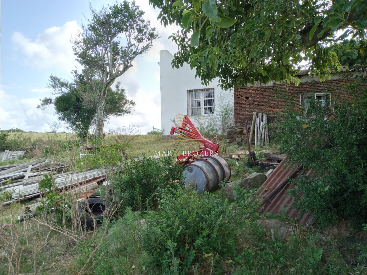Campo Ref.107 - Campo Rincón de José Ignacio