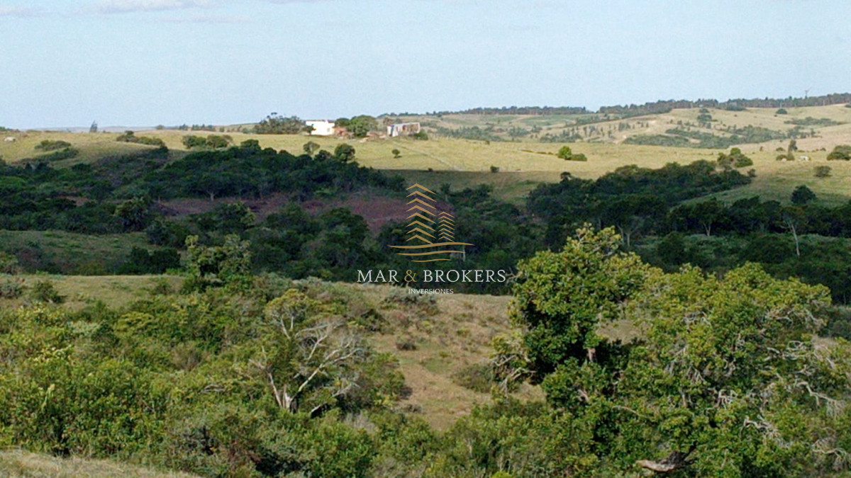 Campo Ref.107 - Campo Rincón de José Ignacio