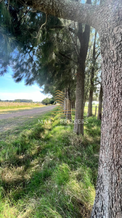 Campo Ref.965 - OPORTUNIDAD UNICA EN URUGUAY.