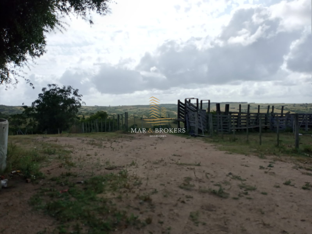 Campo Ref.107 - Campo Rincón de José Ignacio