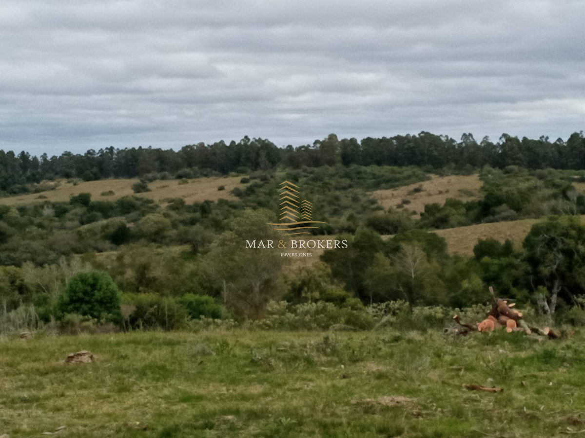Campo Ref.107 - Campo Rincón de José Ignacio