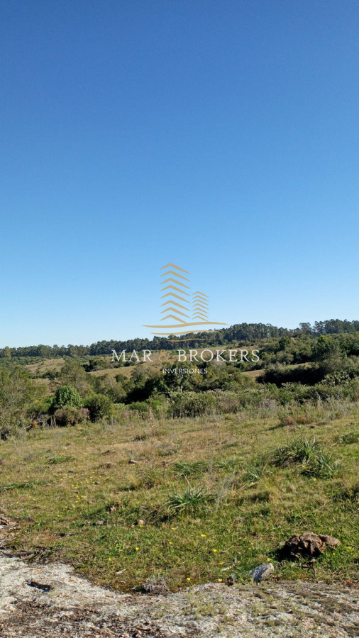 Campo Ref.107 - Campo Rincón de José Ignacio