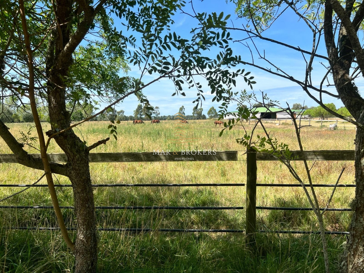 Campo Ref.965 - OPORTUNIDAD UNICA EN URUGUAY.