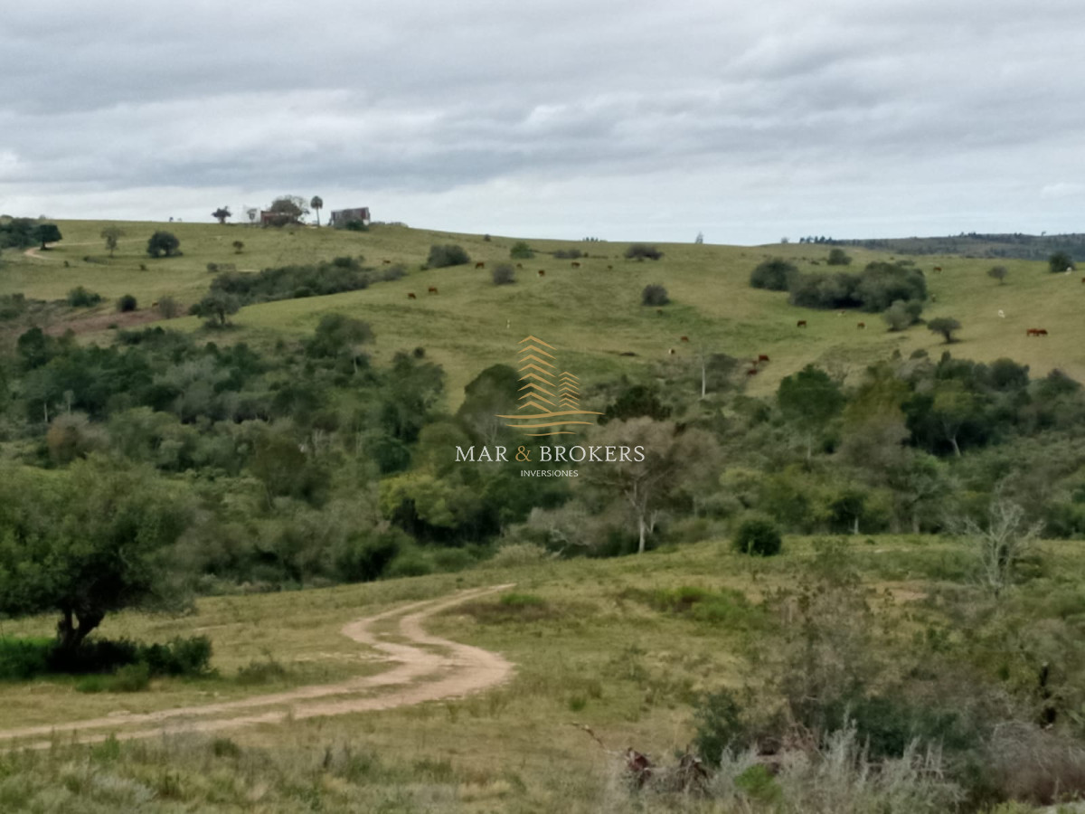 Campo Ref.107 - Campo Rincón de José Ignacio