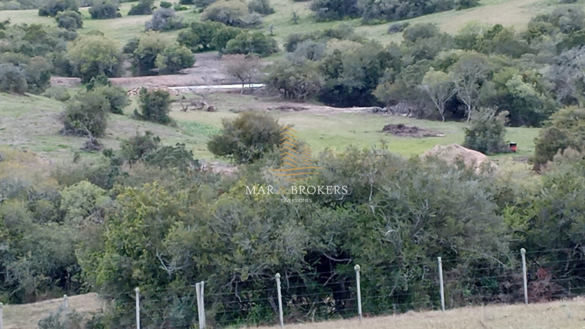 Campo Ref.107 - Campo Rincón de José Ignacio