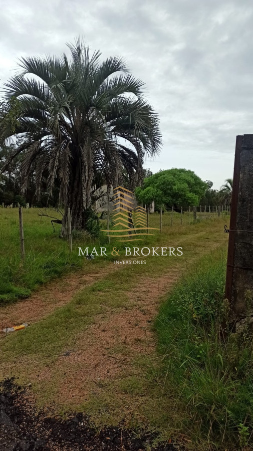 Terreno ID.1042 - Venta terreno para desarrollo 