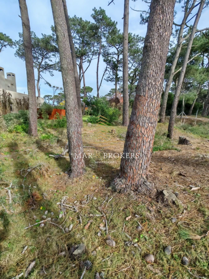 Terreno ID.1606 - Terreno en Manantiales, Manantiales