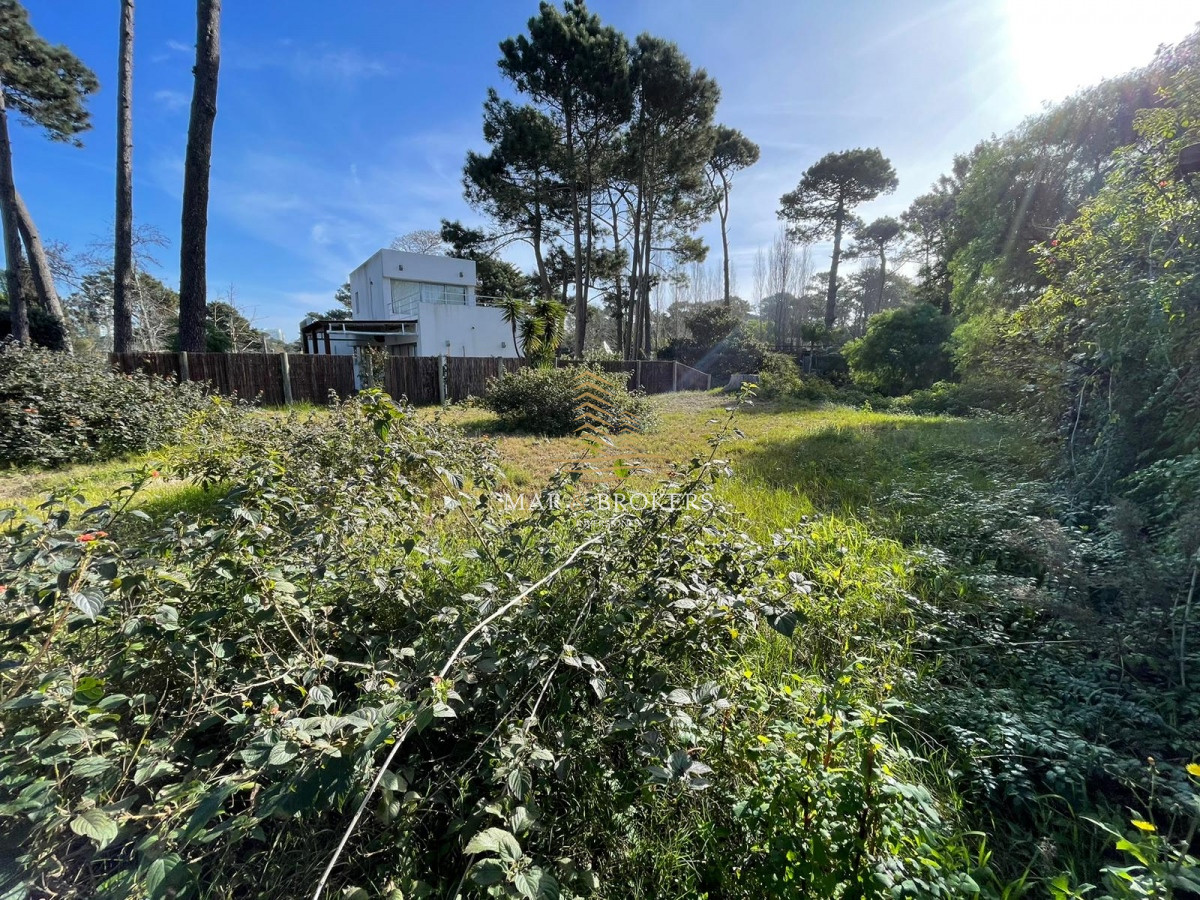 Terreno ID.857 - Venta terreno punta del este 