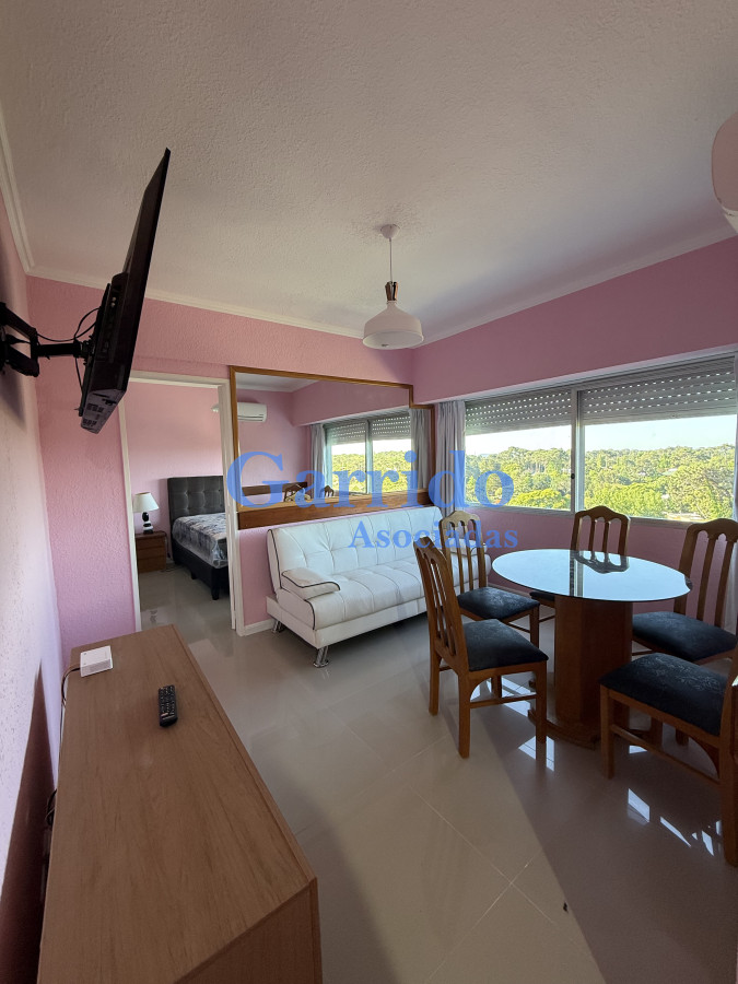 Apartamento ID.3712 - Alquilo 1 dormitorio zona Roosevelt 