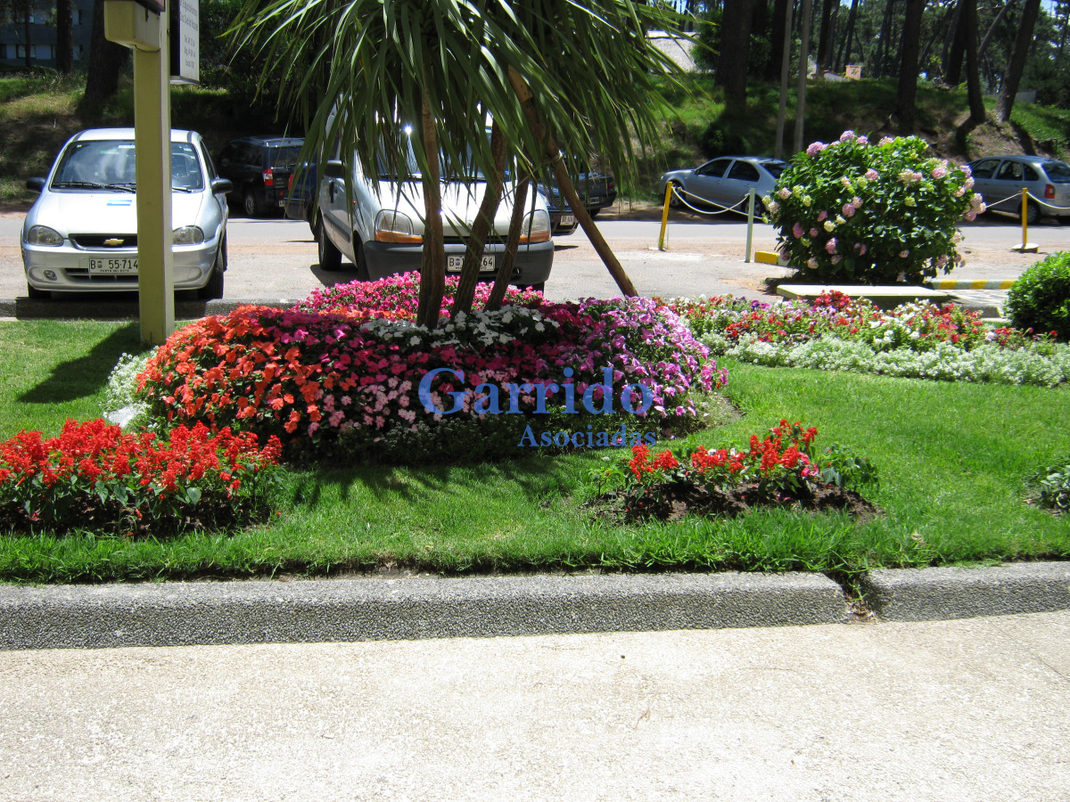 Apartamento ID.804 - Apartamento en Punta del Este, Roosevelt